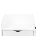 RR 4 -Layer Salon Storage Cabinet