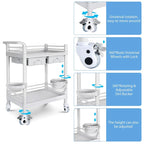 Chariots médicaux à roulettes Chariot d'esthéticienne mobile à 2 niveaux, charge de 150 kg, chariot d'hôpital pour scanner à ultrasons, chariot utilitaire