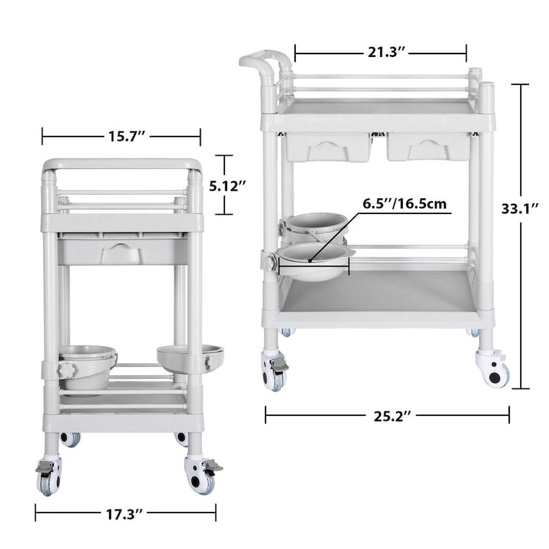 Chariots médicaux à roulettes Chariot d'esthéticienne mobile à 2 niveaux, charge de 150 kg, chariot d'hôpital pour scanner à ultrasons, chariot utilitaire